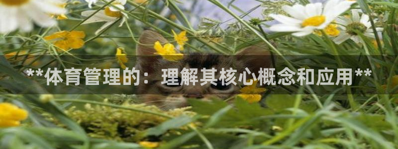 必一运动官网入口