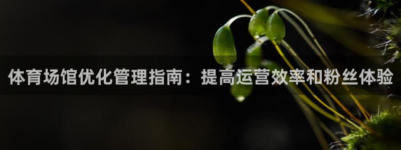 必一运动官网：体育场