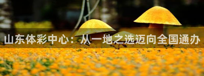 必一运动·体育：山东体彩中心：从一地之选迈向全国通办