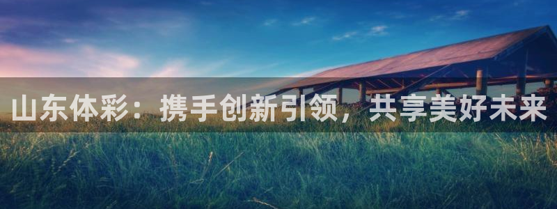 必一体育登陆：山东体