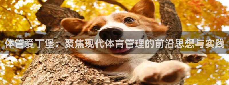 必一体育app下载安