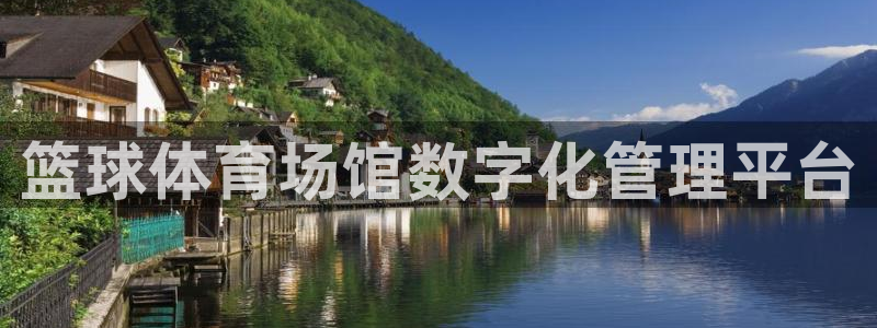 必一运动验证码：篮球