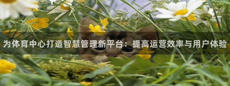 必一运动验证码：为体