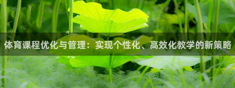 必一运动 b 体育素