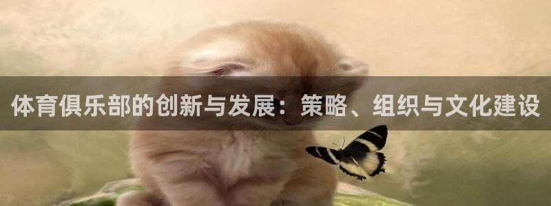 必一体育：体育俱乐部