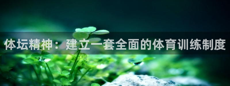 必一体育官网入口：体坛精神：建立一套全面的体育训练制度