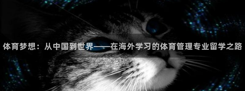 必一体育：体育梦想：