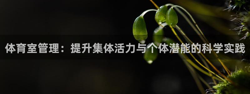 必一体育是哪里的台子：体育室管理：提升集体活力与个体潜能的科