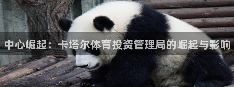 必一体育验证码：中心