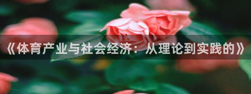 必一体育游戏特色：《
