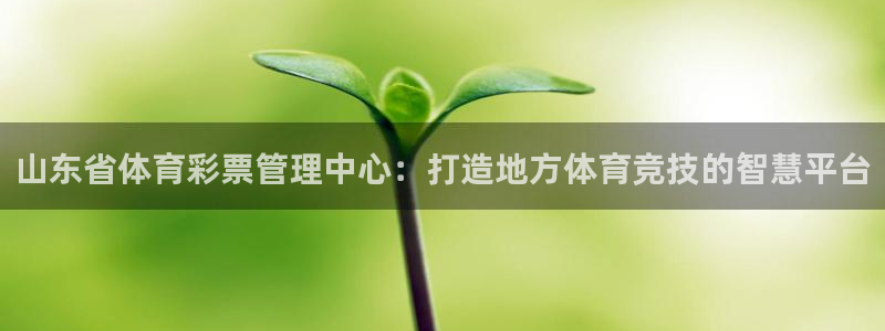 必一体育秀给网：山东省体育彩票管理中心：打造地方体育竞技的智