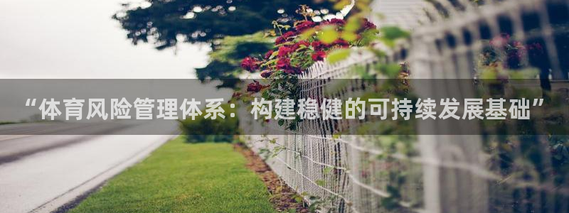 必一体育app下载最