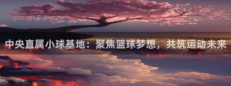 必一体育app下载装