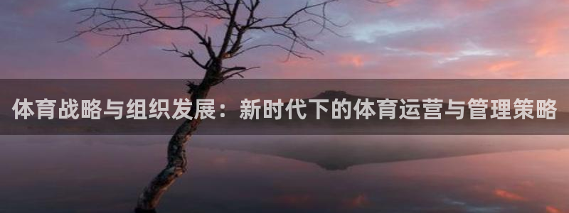 必一运动体：体育战略