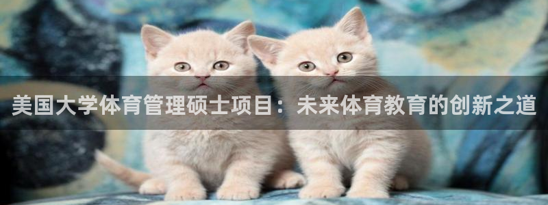必一体育官网网站：美