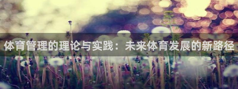 必一体育游戏特色：体