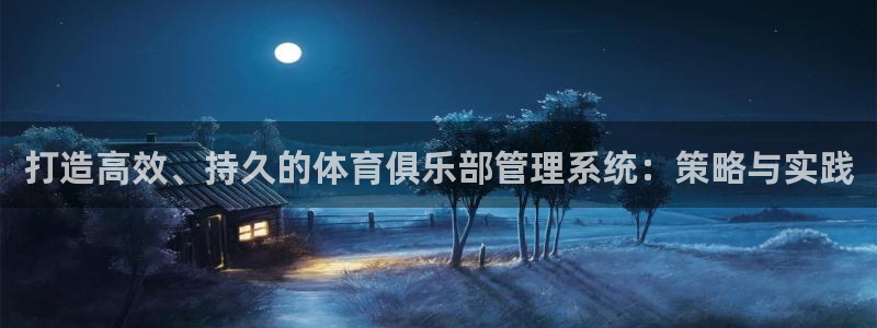 必一体育没了：打造高