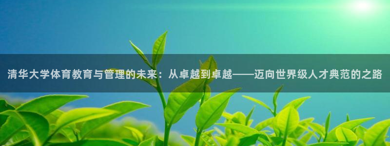 必一运动体：清华大学