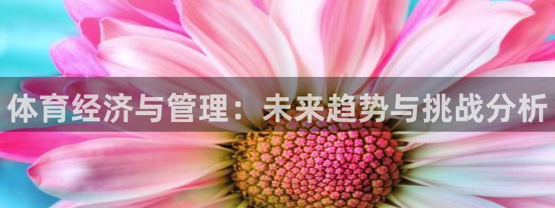 必一运动听的歌：体育