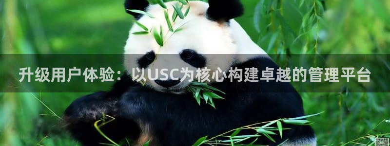 必一运动 b 体育素