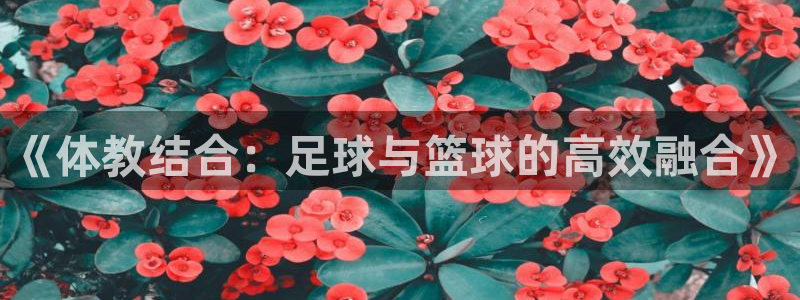 必一运动官网装机吧：