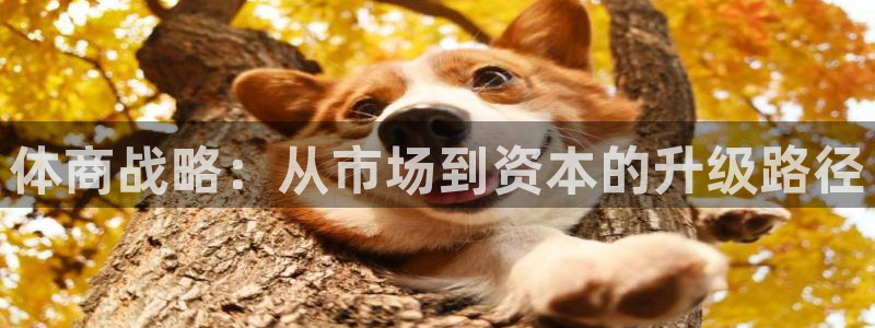 必一体育合法吗：体商
