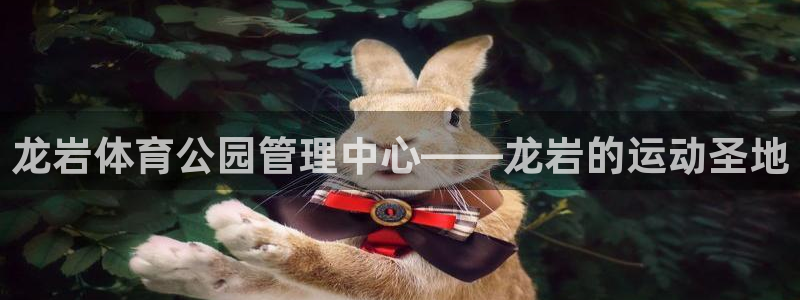 必一体育官网app：龙岩体育公园管理中心——龙岩的运动圣地