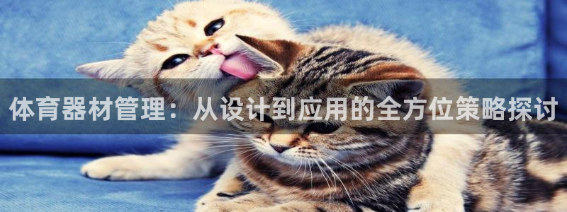 必一体育sportB体育：体育器材管理：从设计到应用的全方位