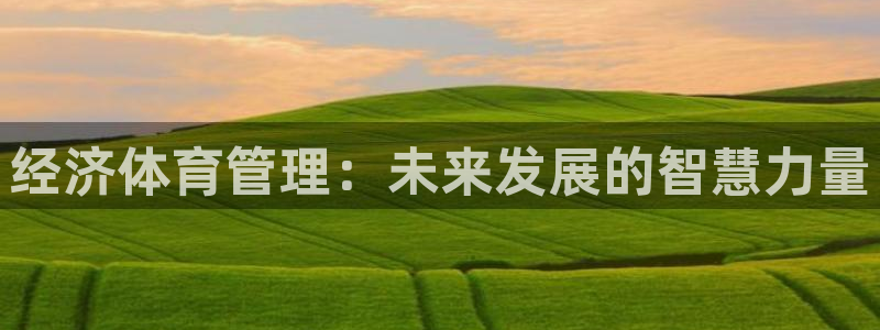 必一体育下载app：经济体育管理：未来发展的智慧力量