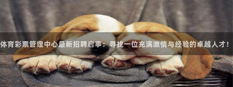 必一体育sport：