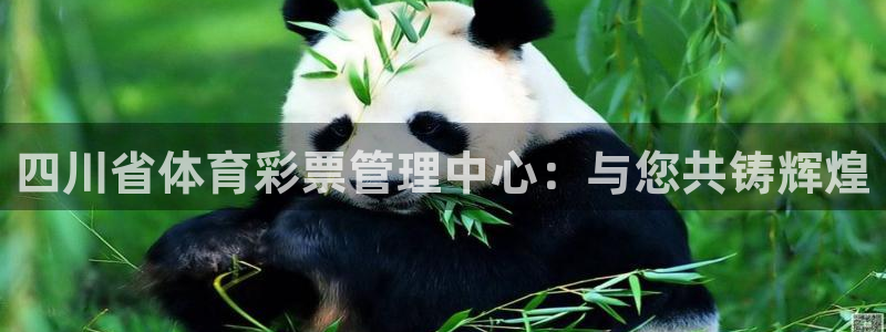 必一体育在线官网：四