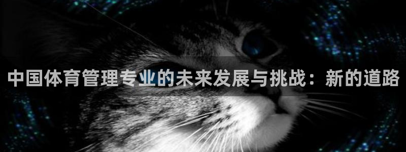 必一体育官网网站：中