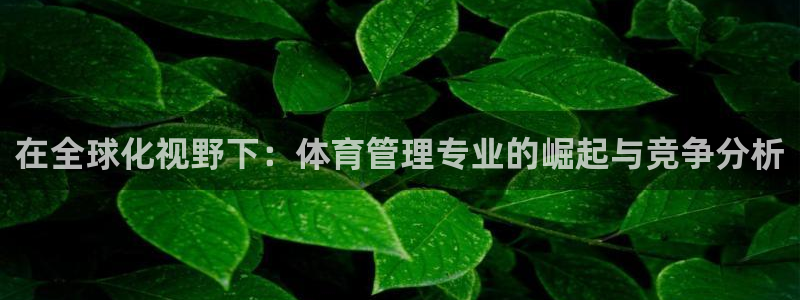 必一体育网页版登录：