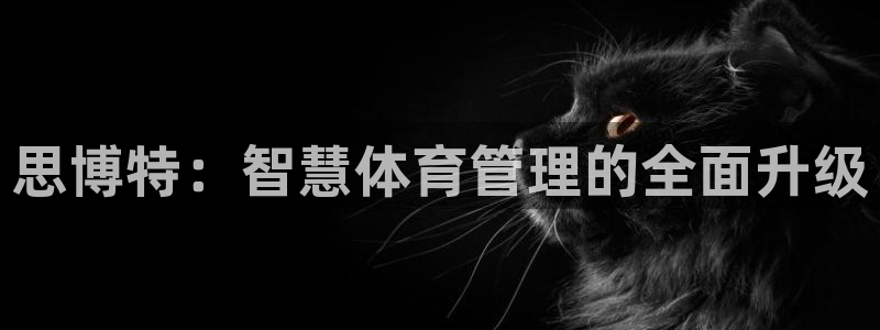 必一体育服下载最新版