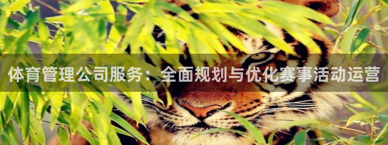 必一体育app下载最