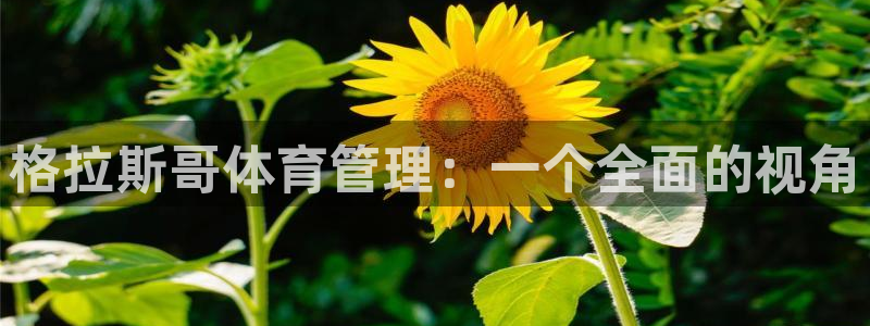 必一体育能提现大金额