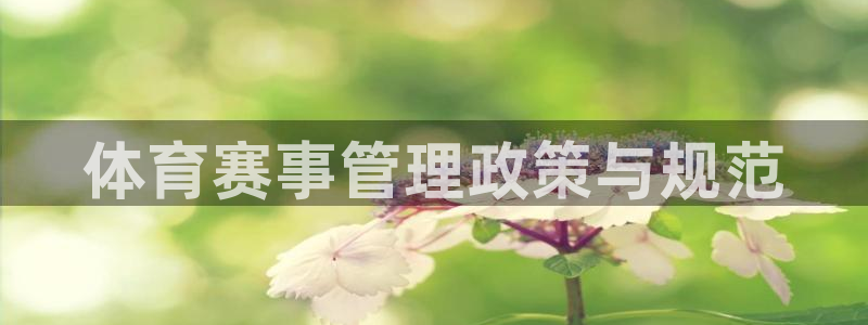 b体育必一运动网页版