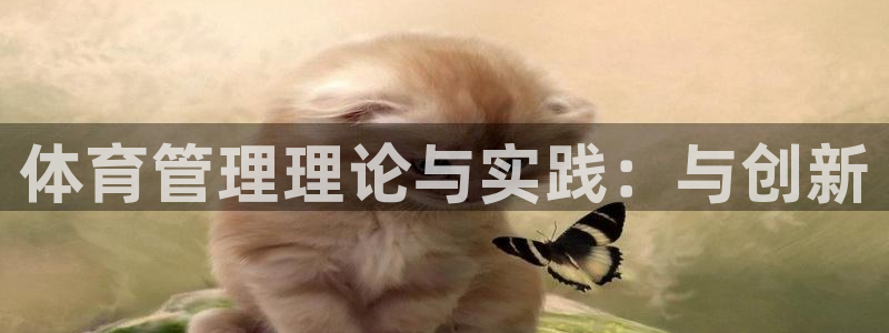 必一体育合法吗：体育