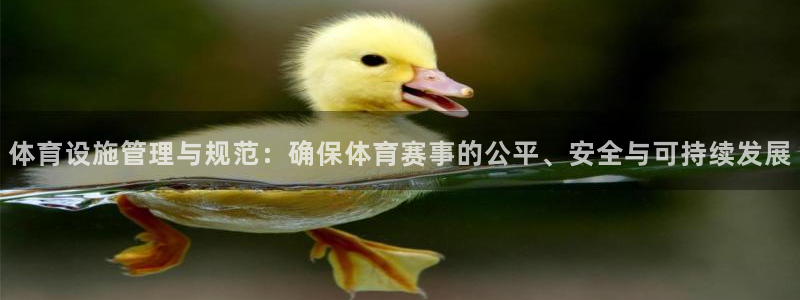 必一体育sport官