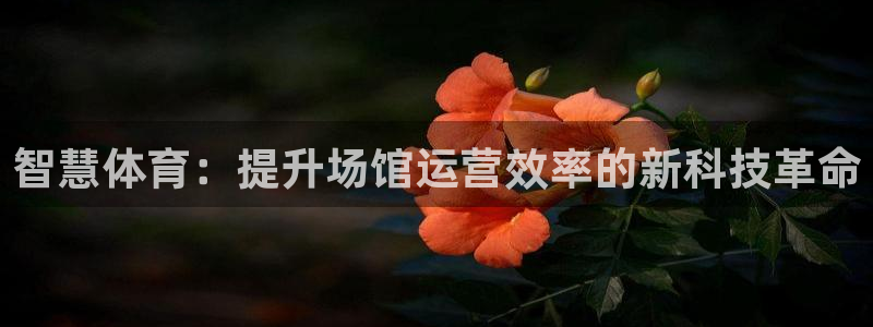 必一体育sport下