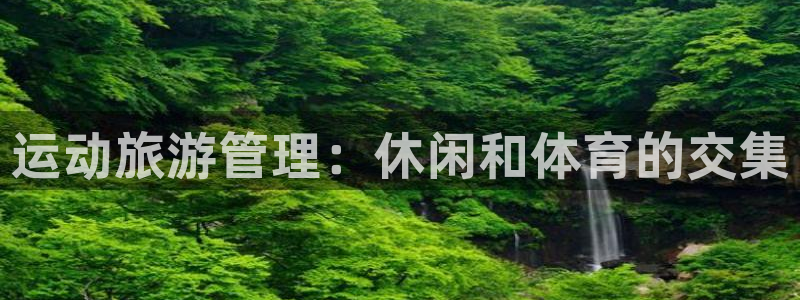 必一体育游戏特色