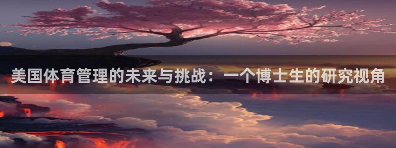 必一体育黑平台：美国