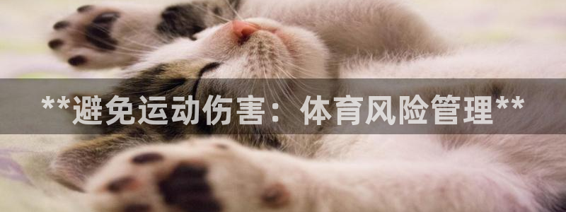 必一体育官网网址：*