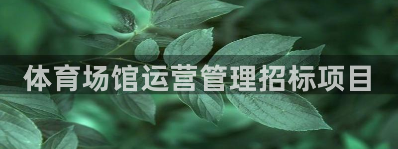 必一体育网页版登录：