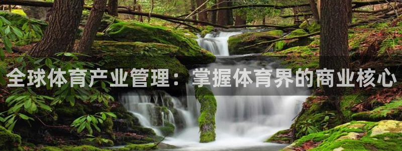 必一体育黑平台