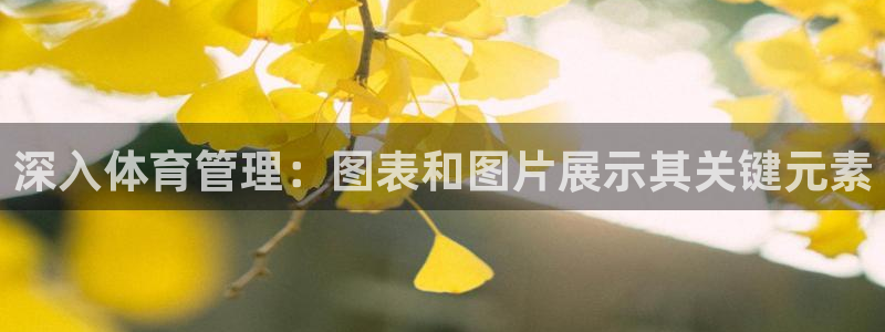 必一体育app官方下载