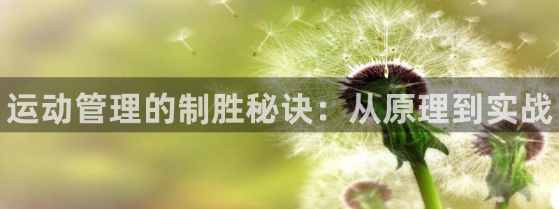 必一体育app下载装机吧