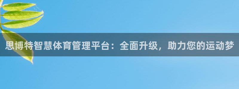 必一体育秀给网：思博
