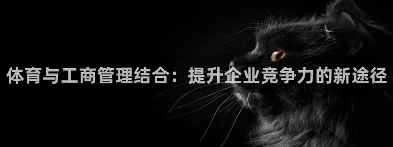 必一体育验证码：体育