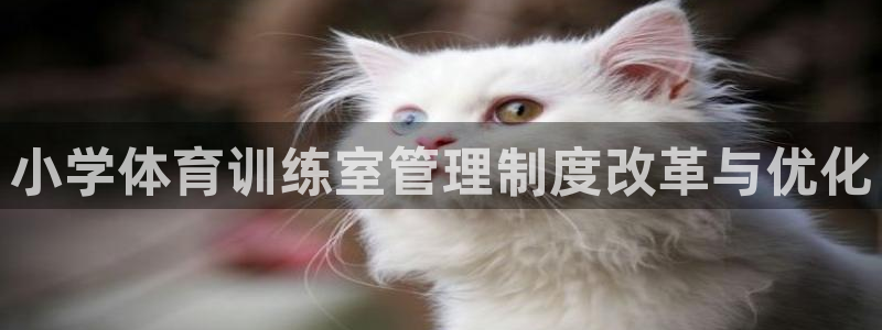 必一体育官网app：